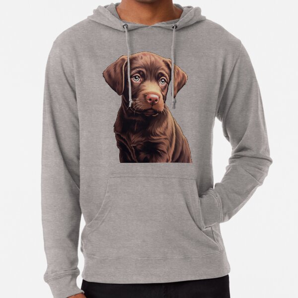 Chocolate 2025 lab hoodies