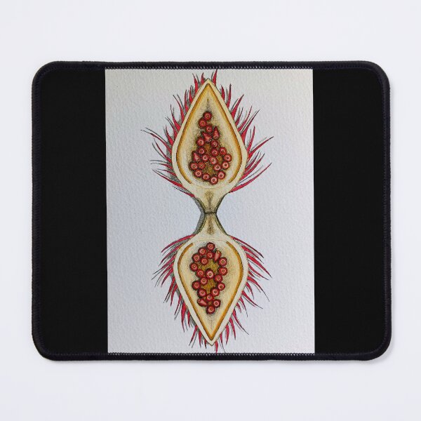 Item preview, Achiotl - Achiote  designed and sold by ImitationArt.