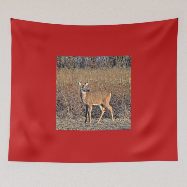 Item preview, One Of The Boys  designed and sold by Lanis Rossi.