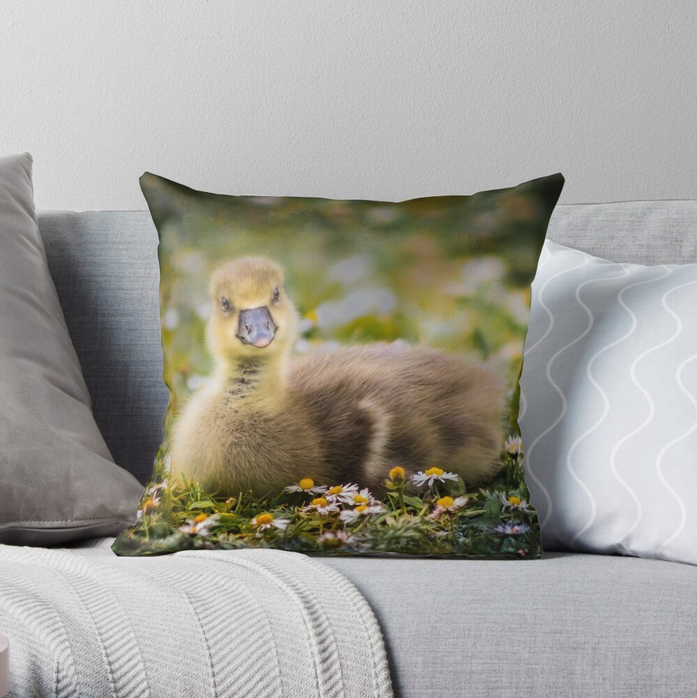 the quizzical gosling Throw Pillow