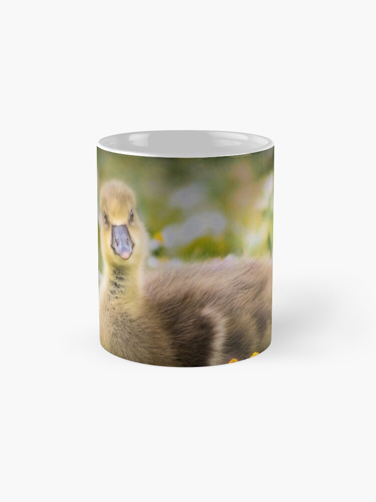 Alternate view of the quizzical gosling Mug