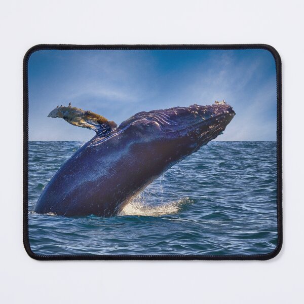 Item preview, Humpback Breaching designed and sold by Kathy Weaver.