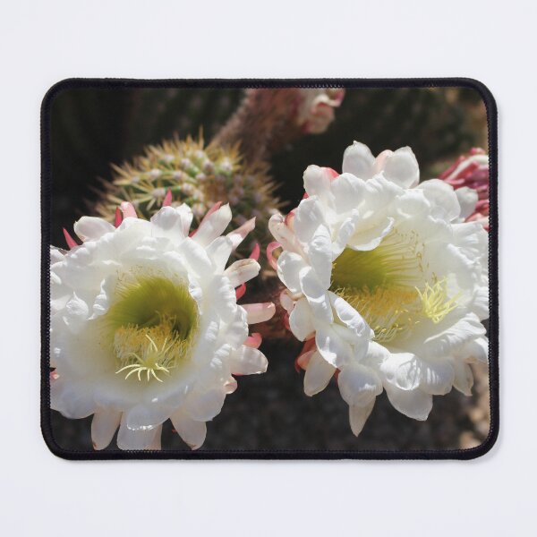 Item preview, Double Cactus Flowers designed and sold by AZpics26.