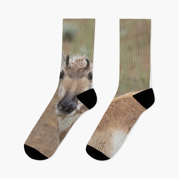 Item preview, A Pronghorn Wildlife Portrait After A Meal  designed and sold by FreelanceJim.
