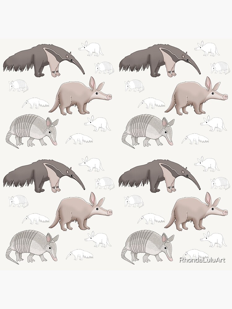 armadillo and aardvark