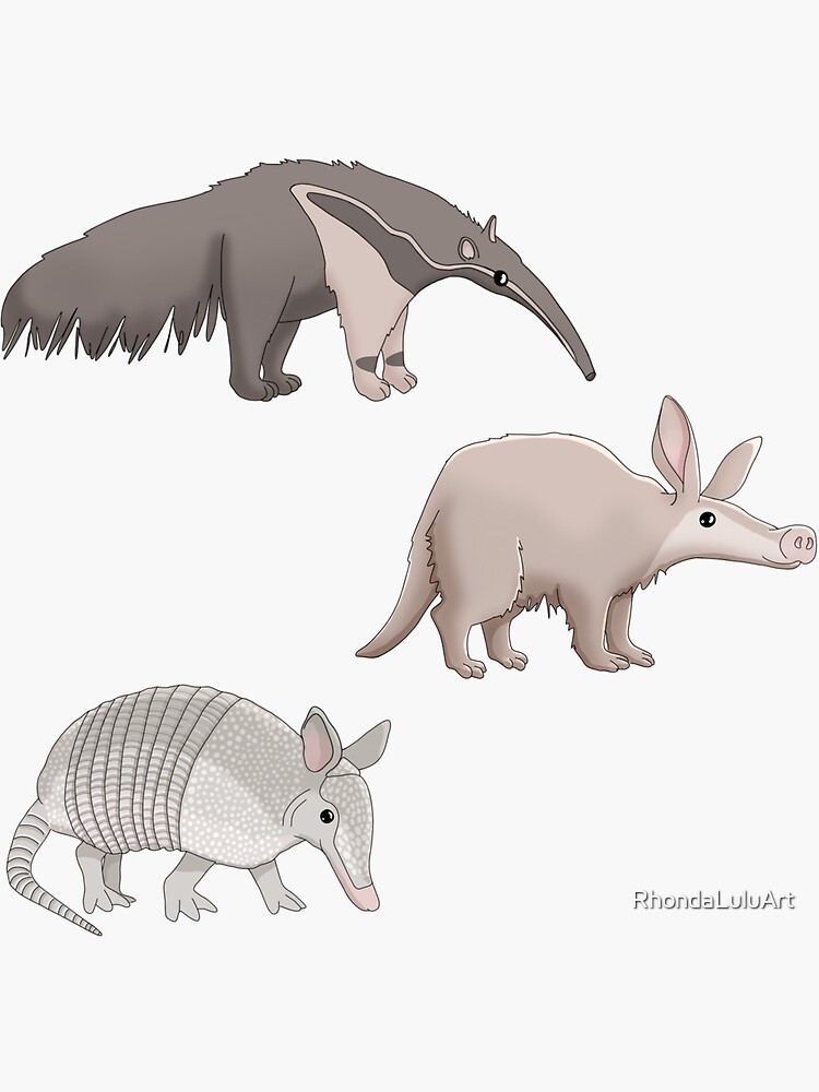 armadillo and aardvark