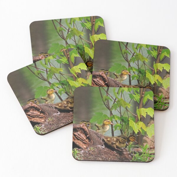 Item preview, Yippee Swim Time designed and sold by Deb Oppermann.