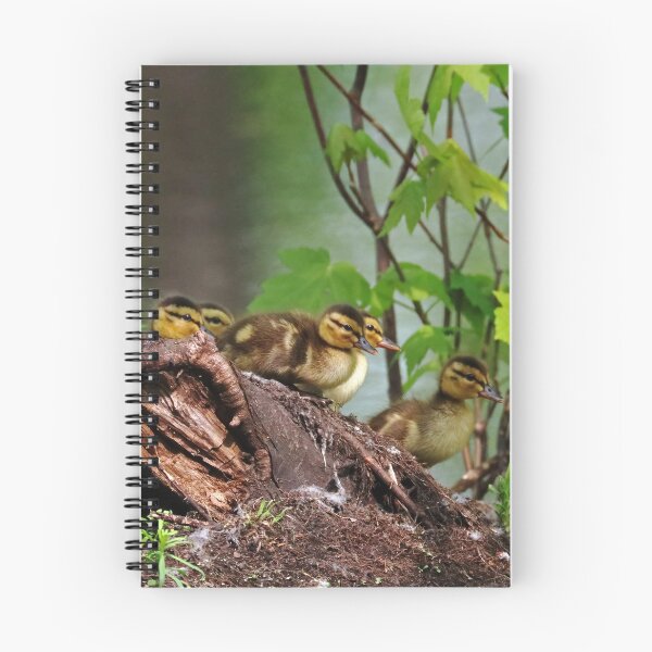 Item preview, Here We Go designed and sold by Deb Oppermann.
