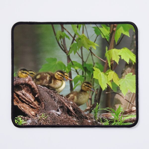 Item preview, Here We Go designed and sold by Deb Oppermann.