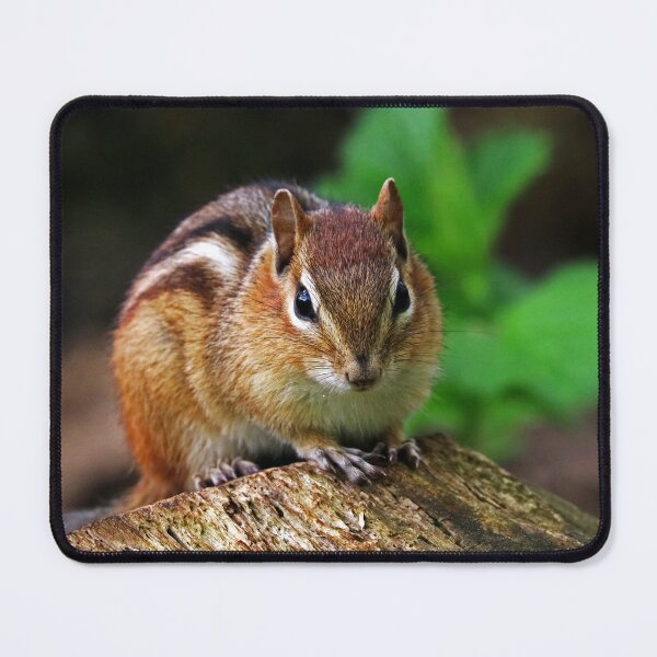 Item preview, Do I Look Like I Care designed and sold by Deb Oppermann.