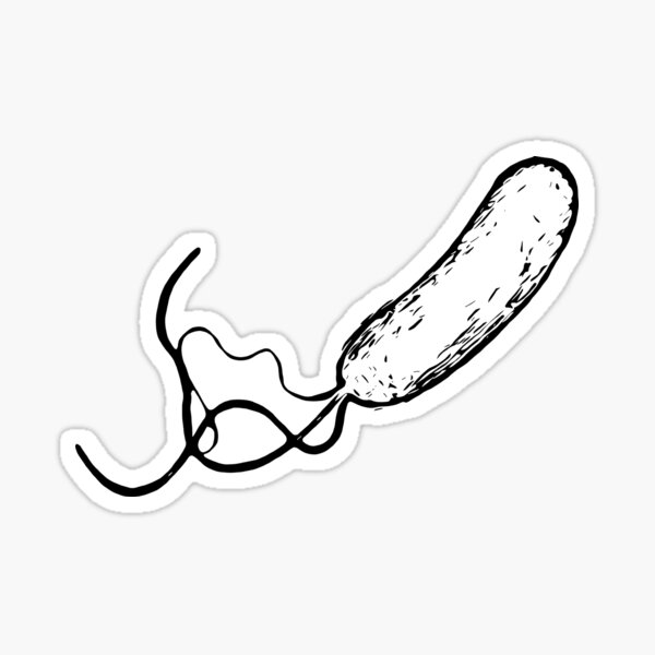 Bacillus Sticker