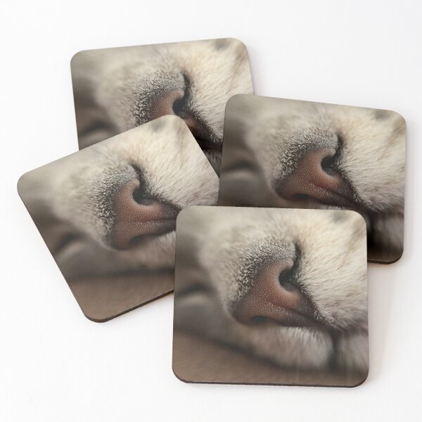 Item preview, Resting Cat Face designed and sold by cats-and-clouds.