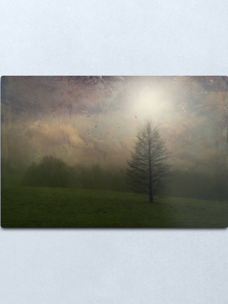 Alternate view of Painted Mist - hazy landscape with lone tree at sunrise Metal Print