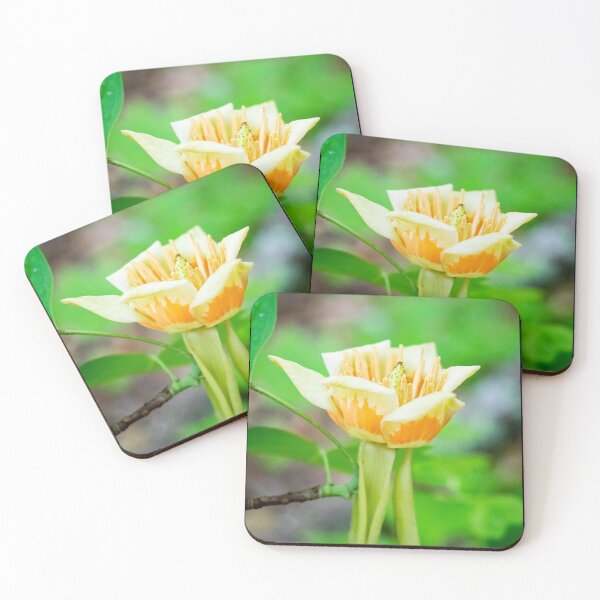 Item preview, Poplar Tulip designed and sold by liamofthewoods.
