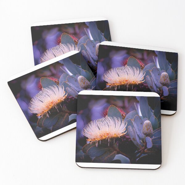 Item preview, Protea designed and sold by PVphotography.
