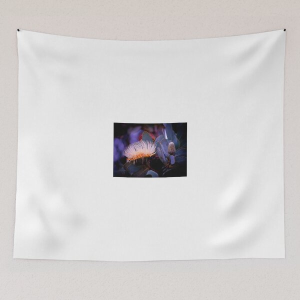 Item preview, Protea designed and sold by PVphotography.