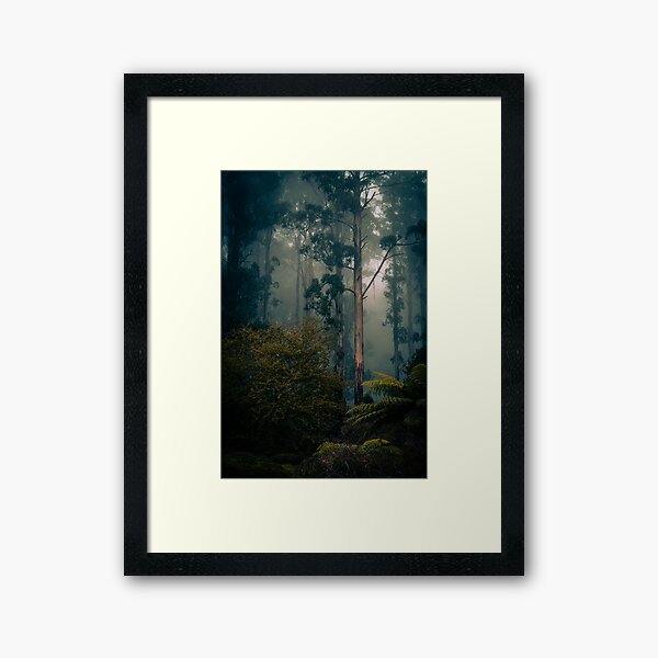 Item preview, Australian forest in the mist. designed and sold by PVphotography.