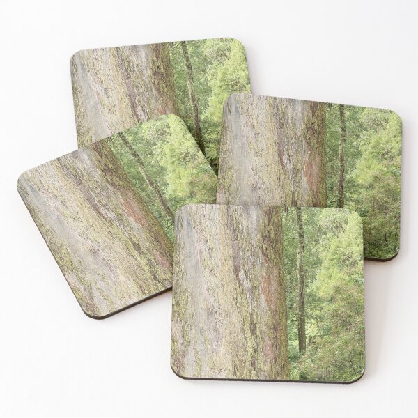 Item preview, Ancient Wisdom, Sassafras, Dandenongs, Victoria designed and sold by Liza Clements Photographic.