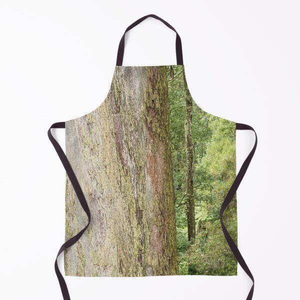 Item preview, Ancient Wisdom, Sassafras, Dandenongs, Victoria designed and sold by Liza Clements Photographic.