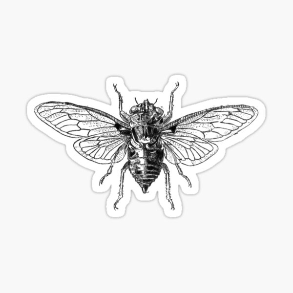 Cicada design - Cicada 3301 | Insect Shirt with Cartoon Sticker