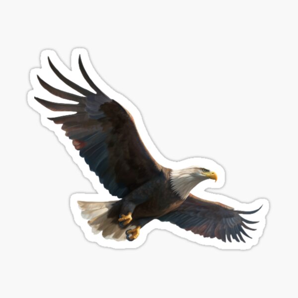 Philadelphia Eagles NFL Bald eagle, Eagle wing transparent