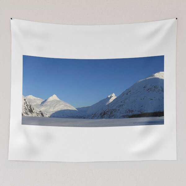 Item preview, Frozen Portage lake (panorama) designed and sold by zumi.