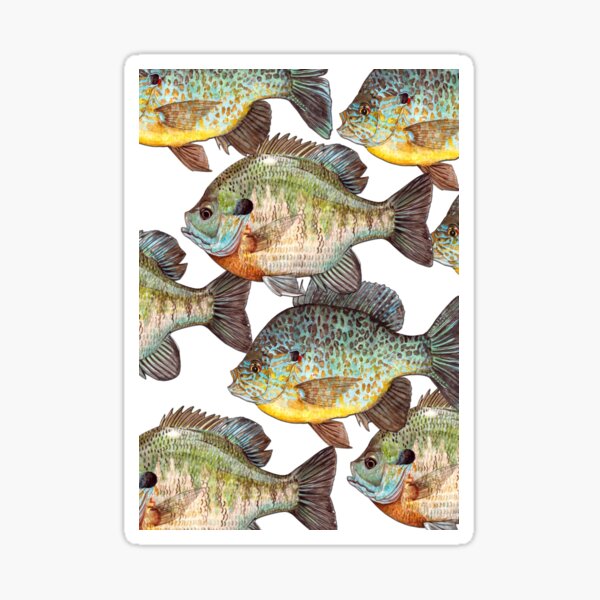 Sunfish Sticker