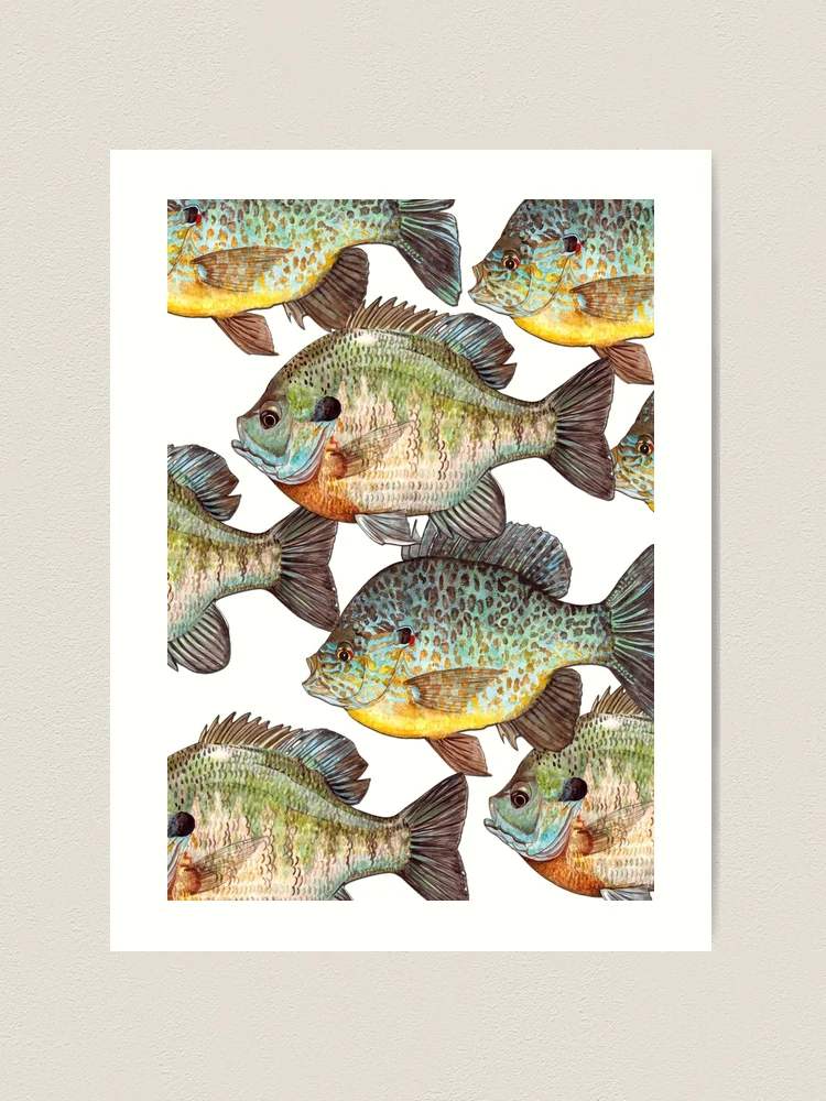 Sunfish iPhone Case for Sale by WendyBerry