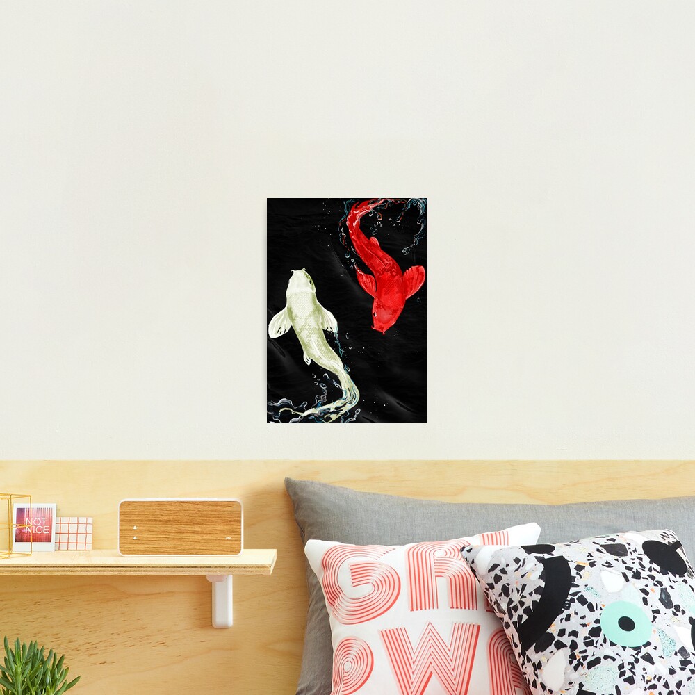 Koi Fishes Photographic Print