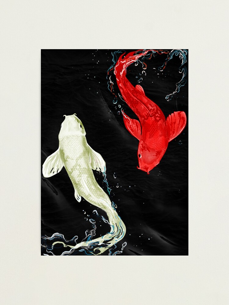 Alternate view of Koi Fishes Photographic Print