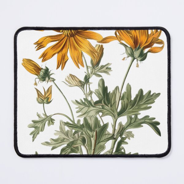 Item preview, Vintage Botanical Cosmos Flowers Illustration, Victorian Inspired Artwork, Detailed Engraving Style Floral Print, AR 153:191 designed and sold by stateofhuman.