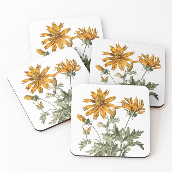 Item preview, Vintage Botanical Cosmos Flowers Illustration, Victorian Inspired Artwork, Detailed Engraving Style Floral Print, AR 153:191 designed and sold by stateofhuman.