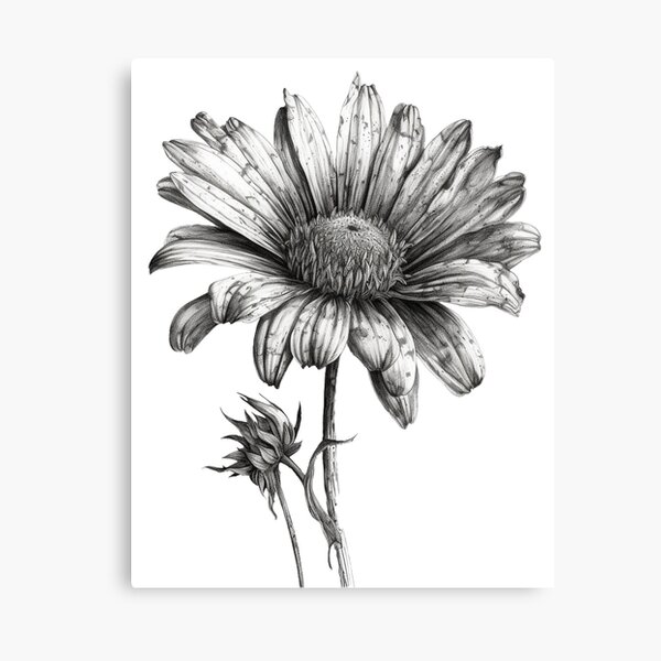 Rose and Daisy Flowers, Pen and Ink Print, Floral and Nature Art, Black and  White Vintage, Botanical Wall Art, Unity