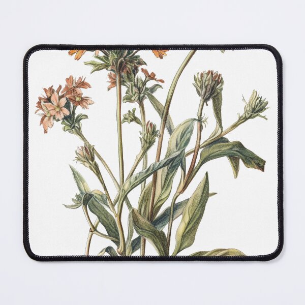 Item preview, Colorful Botanical Sketch of Pink, Orange, and Blue Flowers, High Resolution Print on Demand Illustration for Wall Art, Clothing, and More designed and sold by stateofhuman.