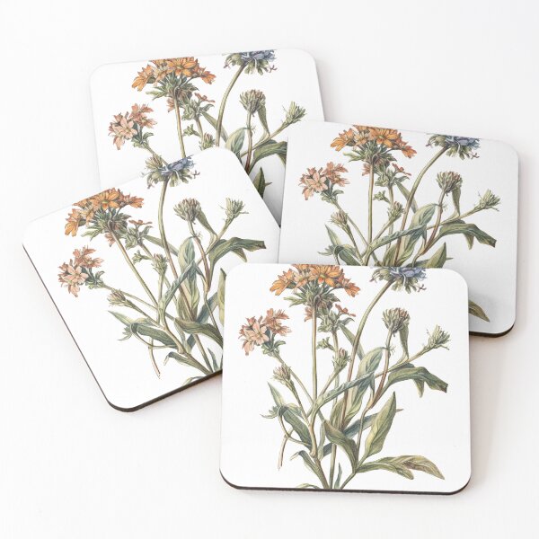 Item preview, Colorful Botanical Sketch of Pink, Orange, and Blue Flowers, High Resolution Print on Demand Illustration for Wall Art, Clothing, and More designed and sold by stateofhuman.