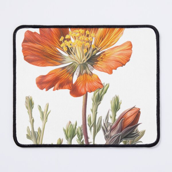 Item preview, Bold Orange Poppy Flower Illustration, Detailed Watercolor Style, Perfect for Custom Print on Demand Products, Wall Art, Apparel, and More designed and sold by stateofhuman.