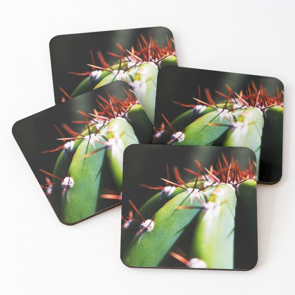 Item preview, Spiky Little Cactus Details designed and sold by VMKPhotography.