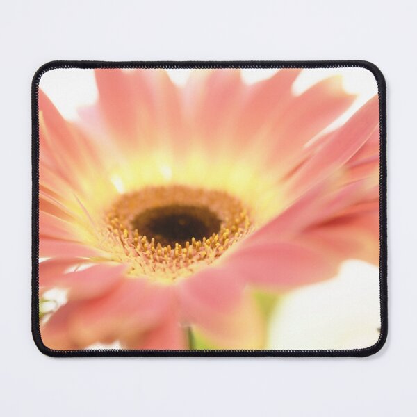 Item preview, Gerbera in Pink designed and sold by imaginethis.