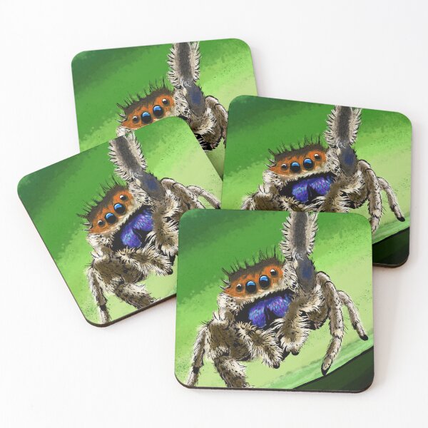 Item preview, Adorable Jumping Spider - Platycryptus undatus - Cute Spider designed and sold by BunnyBizarre.