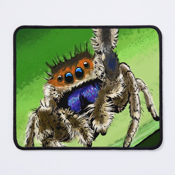 Item preview, Adorable Jumping Spider - Platycryptus undatus - Cute Spider designed and sold by BunnyBizarre.