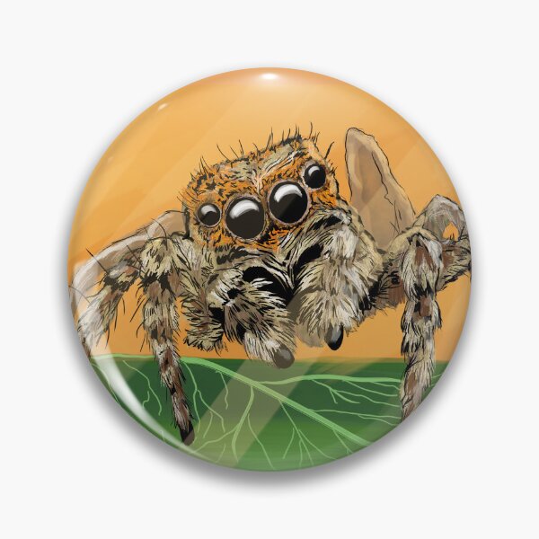 Artikelvorschau, Springspinne - Platycryptus undatus - Süße Spinne entworfen und verkauft von BunnyBizarre.