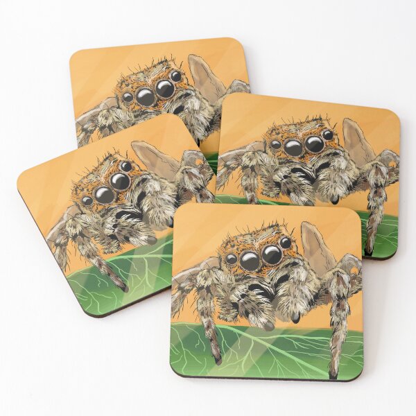 Item preview, Jumping Spider - Platycryptus undatus - Cute Spider designed and sold by BunnyBizarre.