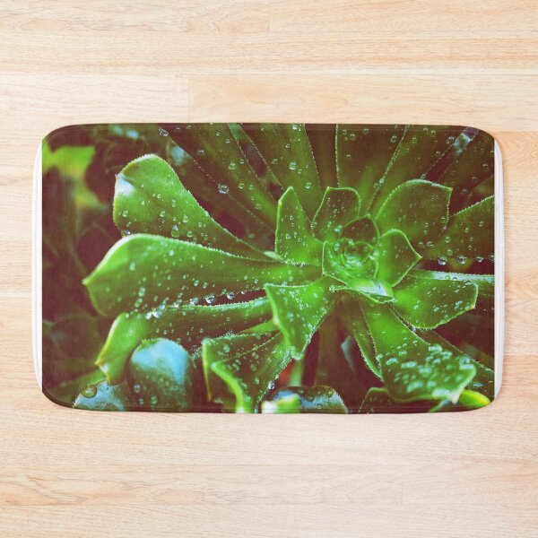 Item preview, A Water-Drenched Succulent designed and sold by VMKPhotography.