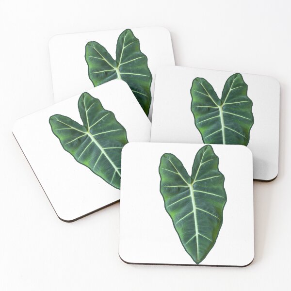 Item preview, Alocasia Frydek designed and sold by Plant art.