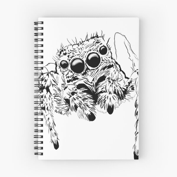 Item preview, Black & White Jumping Spider - Sweet Fuzzy Spider - Platycryptus undatus designed and sold by BunnyBizarre.