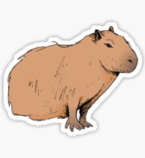 Classic Capybara Sticker