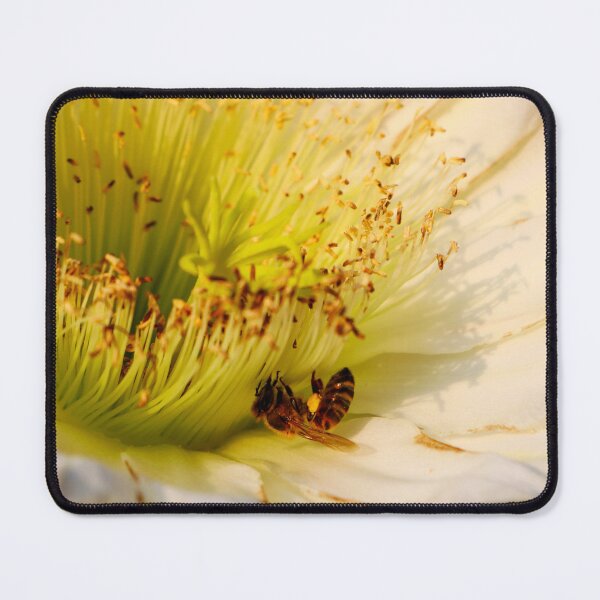 Item preview, A Bee's Cactus Harvest designed and sold by VMKPhotography.