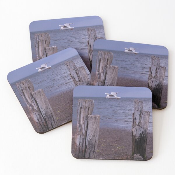 Item preview, Seagull flying over old jetty posts beach photography designed and sold by visualsensation.