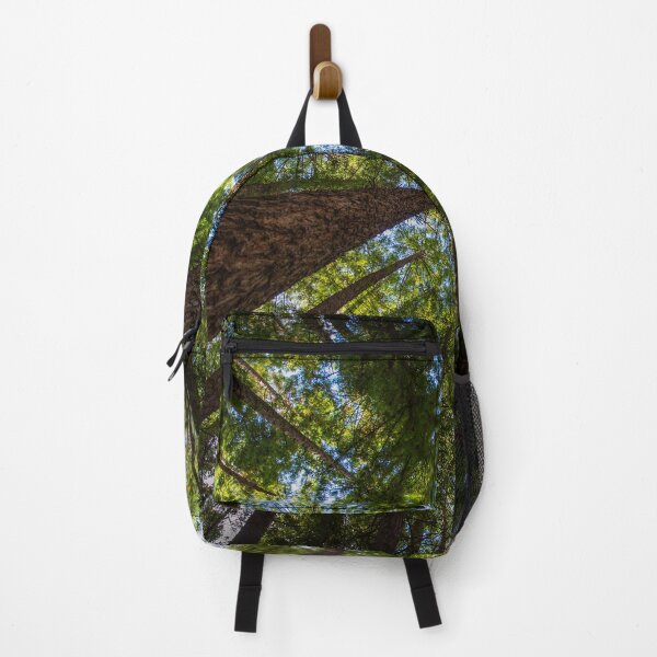 Item preview, Canopy of redwood forest trees designed and sold by visualsensation.