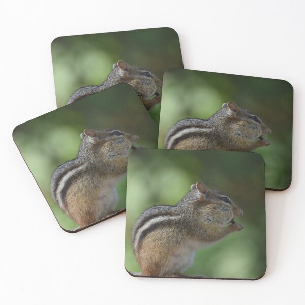 Item preview, A squirrel at the garden feeder designed and sold by Claude Laprise.